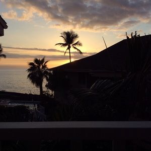 Meet your Posher, Lucy